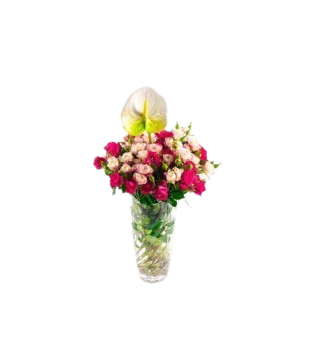 فازه ميكس بيبي روز مع طباعه عباره RS 155