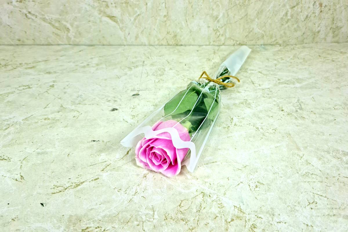 وردة وردية واحدة