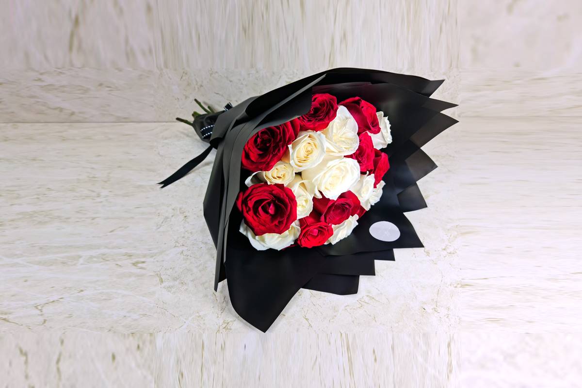 فاني 2