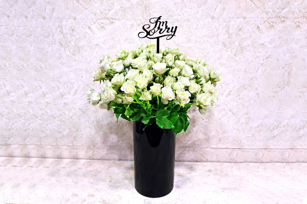 أنا آسف 2031