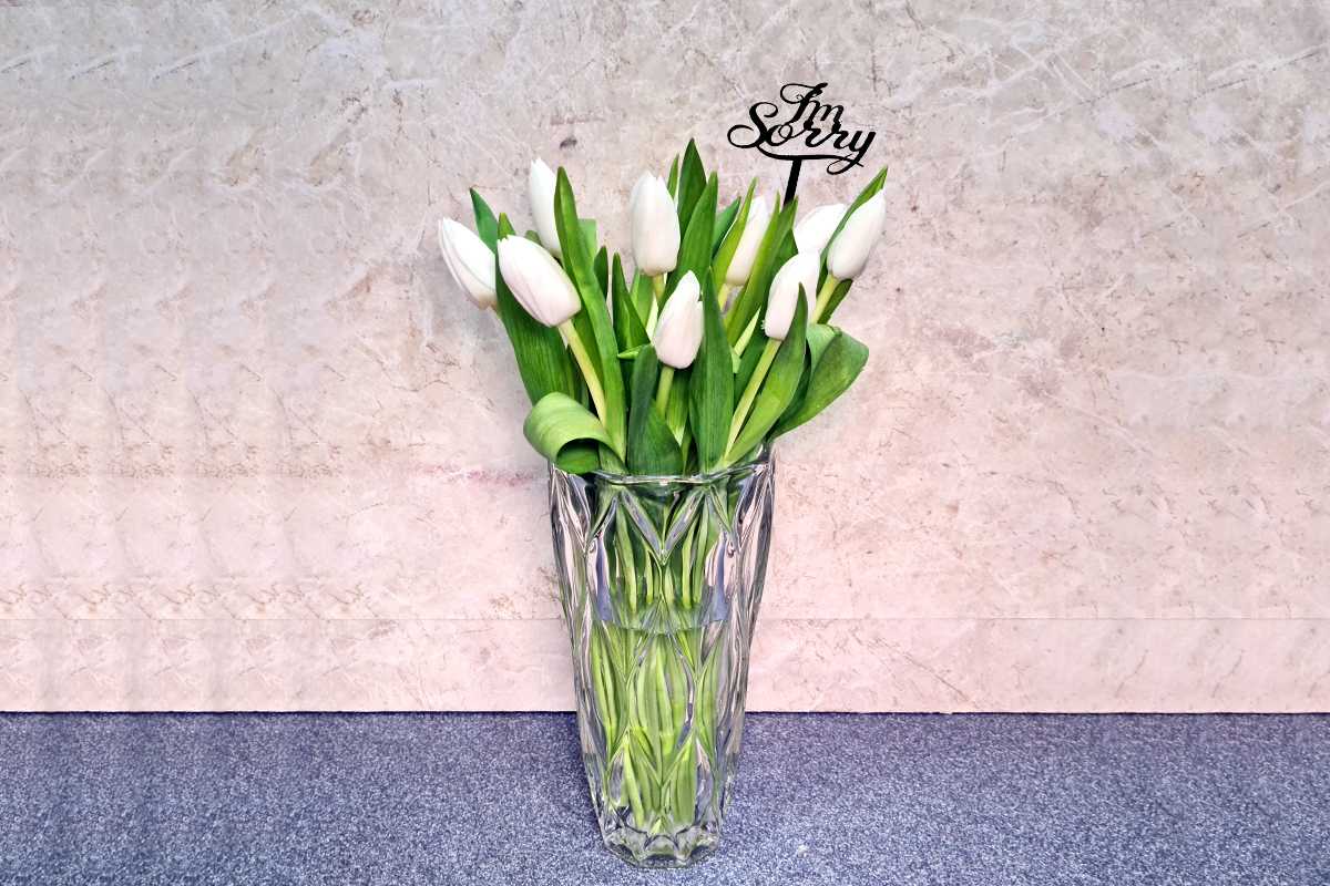 أنا آسف 3080