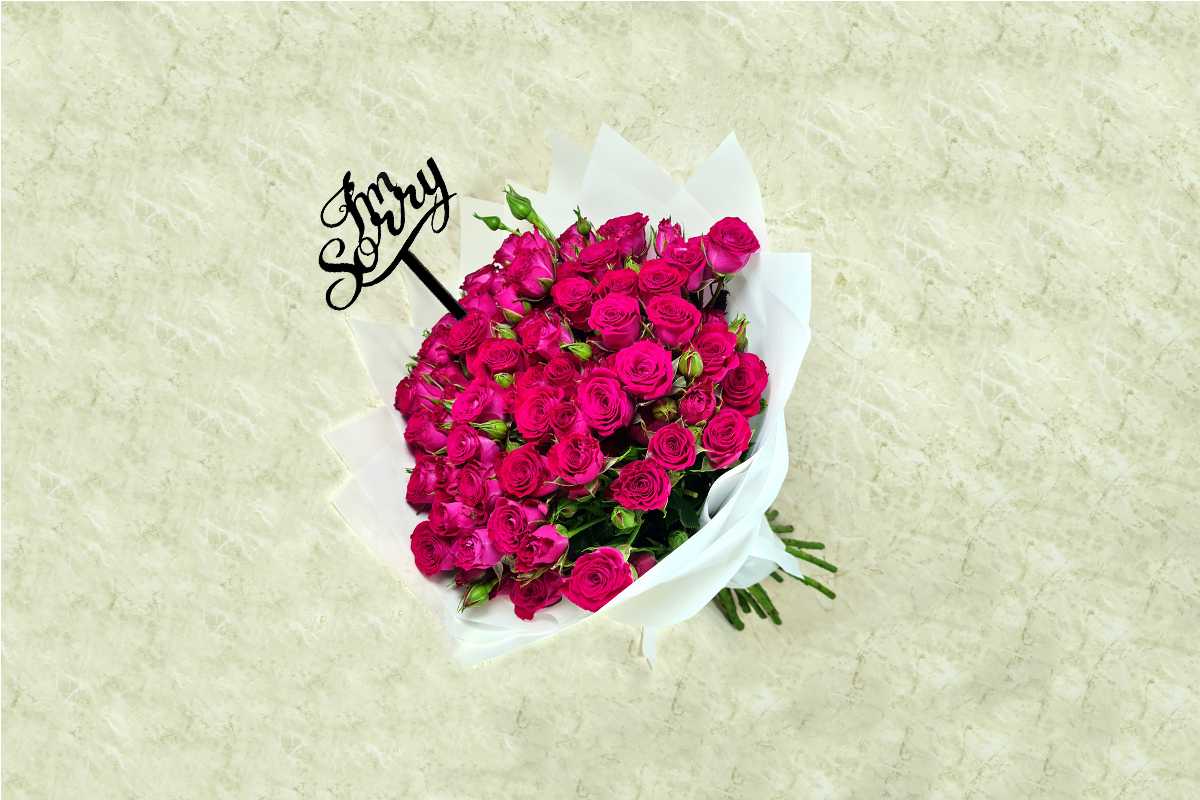 انا اسف 113