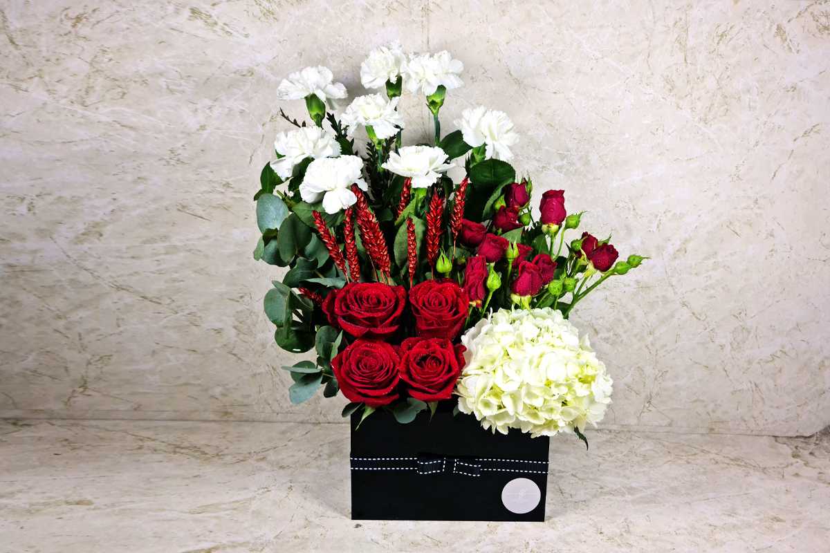 ذا بروليه 20